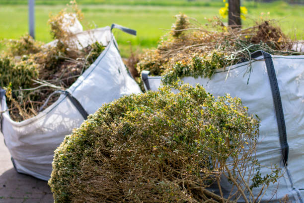 Best Demolition Debris Removal  in Lakeview Estates, GA